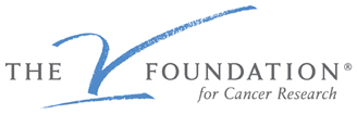 the-v-foundation-for-cancer-research-the-v-foundation-for-cancer-research