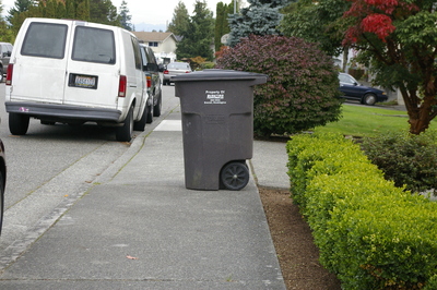 Wheelchair Barrier 3:  Many homeowners do not realize that putting their trashcan in the middle of the sidewalk blocks access for wheelchair users. 